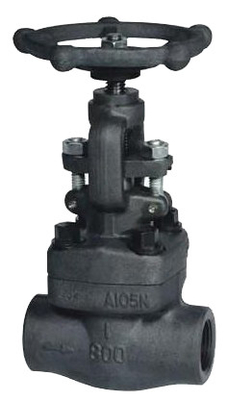 1" , 1 - 1/4" , 1 - 1/2" Cast Steel Gate Valve ANSI Standard API 600 With male - female Joint