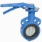 AWWA Ductile Iron Flanged Butt Weld Butterfly Valve